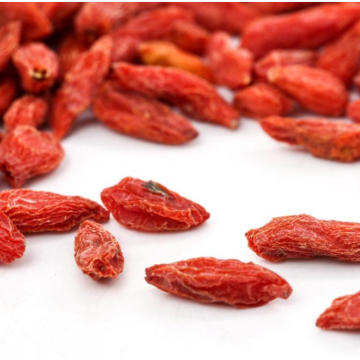 Precio barato secado bayas de goji de exportación sri lanka